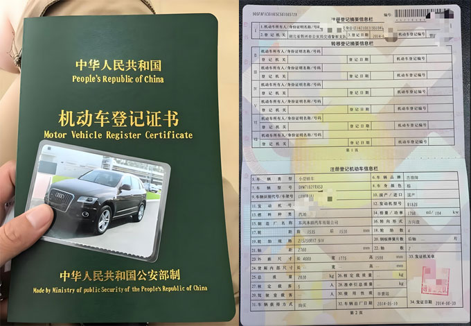 大绿本